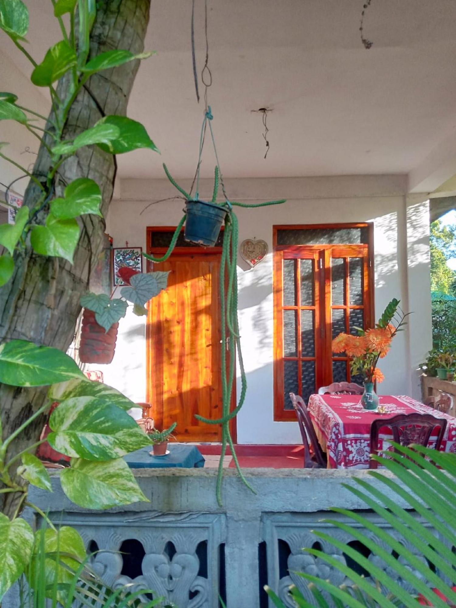 Nelum Home Stay シギリヤ エクステリア 写真